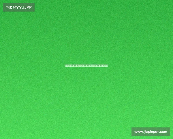 恒大亚冠赛事奖金多少—恒大亚冠赛事奖金分配方案引广泛关注热议