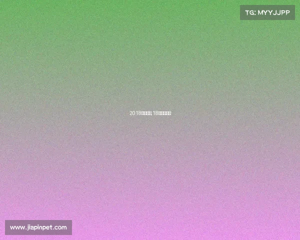 2018英超赛事,18年英超冠军