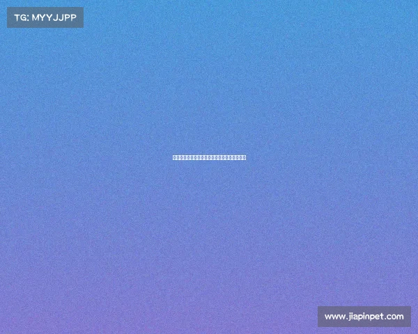 全国青少年赛事评选盛典青春舞台梦想启航盛会