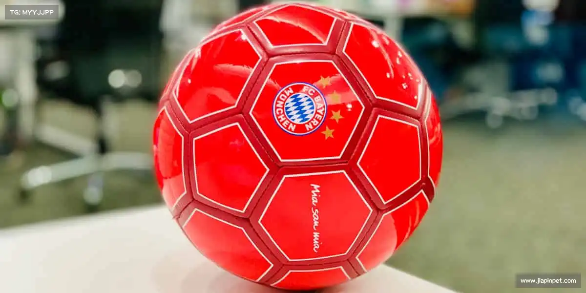 菲律宾环球360官网——🎯百步穿杨，精准致胜！